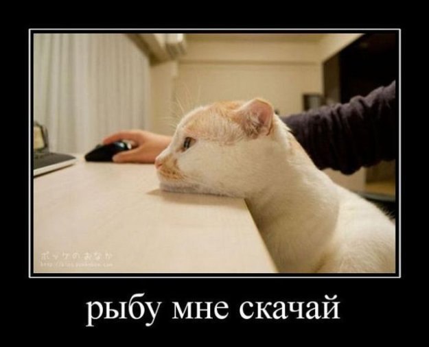Макс Зудин перспективный))))))) | Череповец
