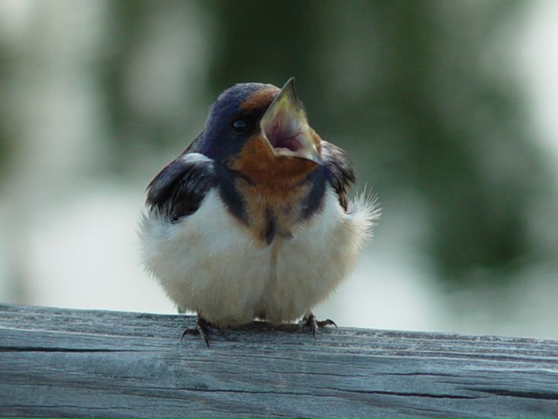 №55, Юлия Якимова, Санкт-Петербург №55, Юлия Якимова, Санкт-Петербург