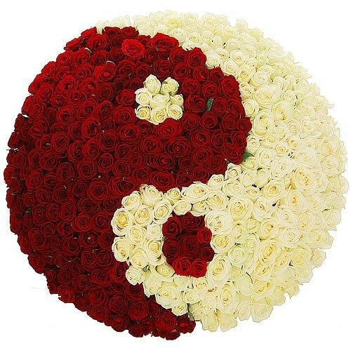 Вікторія Василюк Ніка | Ковель