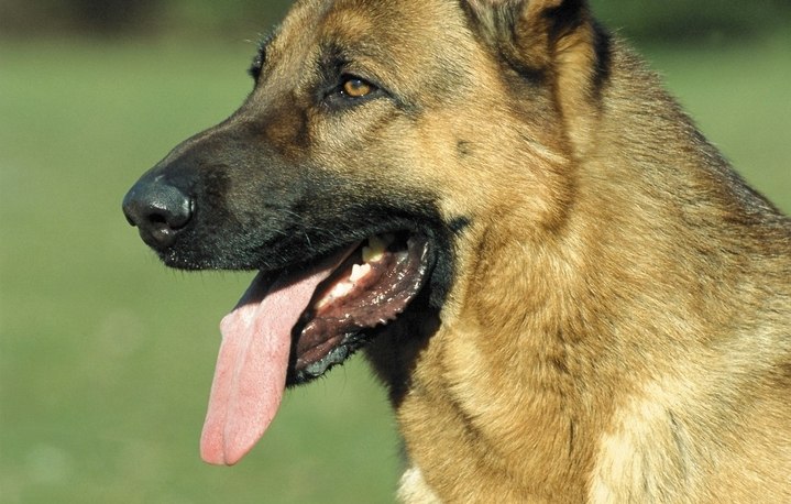 Марсель Гайнутдинов | Казань