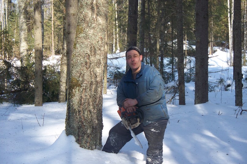 Александр Толов | Вологда