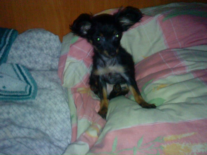 Аня Кельдибекова | Ижевск