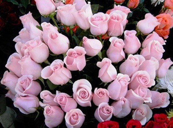 Яна Синицына | Николаев