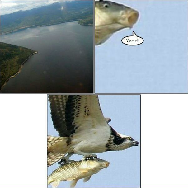 №97, Жека Павлов, Санкт-Петербург, Россия №97, Жека Павлов, Санкт-Петербург, Россия