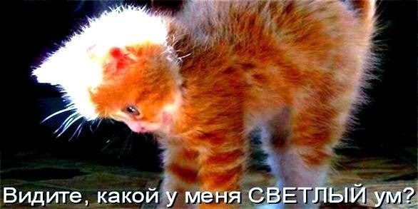 Алинка Сакидон | Изюм