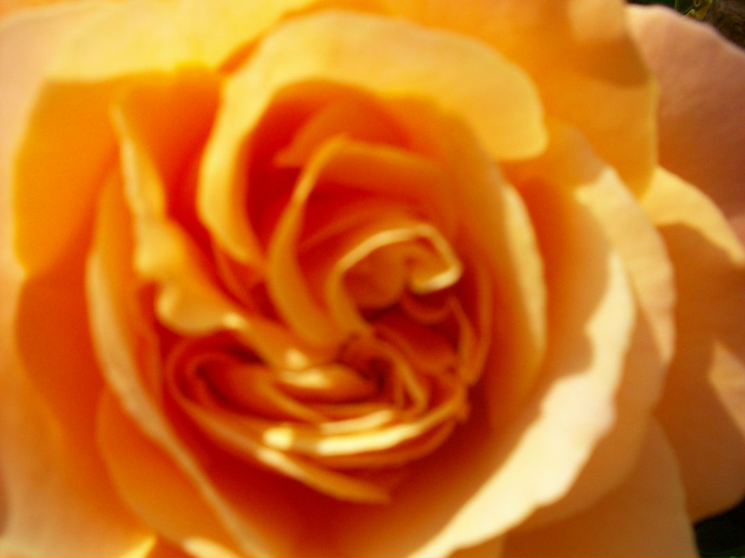 Алия Нурутдинова (Фаршатова) | Уфа