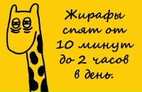 №17 Оксана Кошлец 15.06.1994: профиль, фото, статус - ВКонтакте №17 Оксана Кошлец 15.06.1994: профиль, фото, статус - ВКонтакте