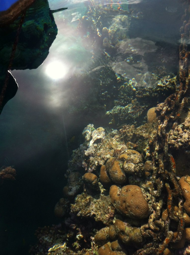 Людмила Деревянко | Ставрополь