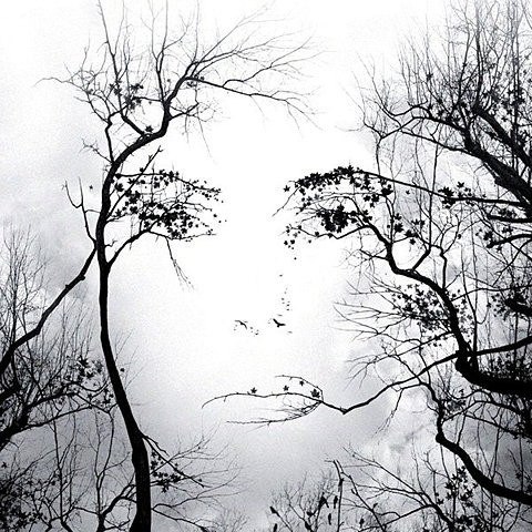 Татьяна Морозова | Reading