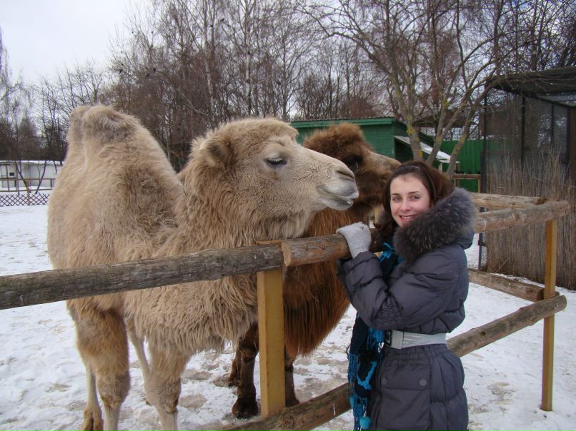 Елена Ширкевич | Витебск