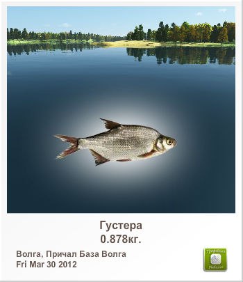 Николай Финогенов | Москва