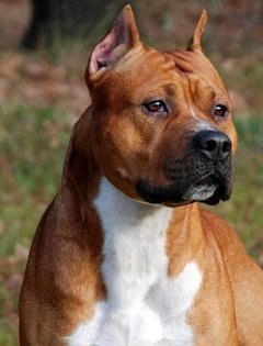 Егор Шельмаков чудо | Ярославль