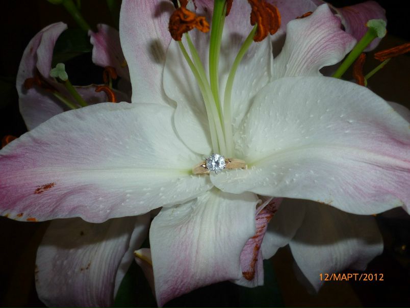 №71, Лариса Антонченко, 47 лет, Сургут №71, Лариса Антонченко, 47 лет, Сургут