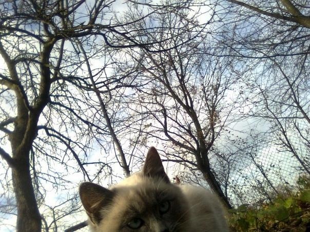 Marta Burak фото со стены #3