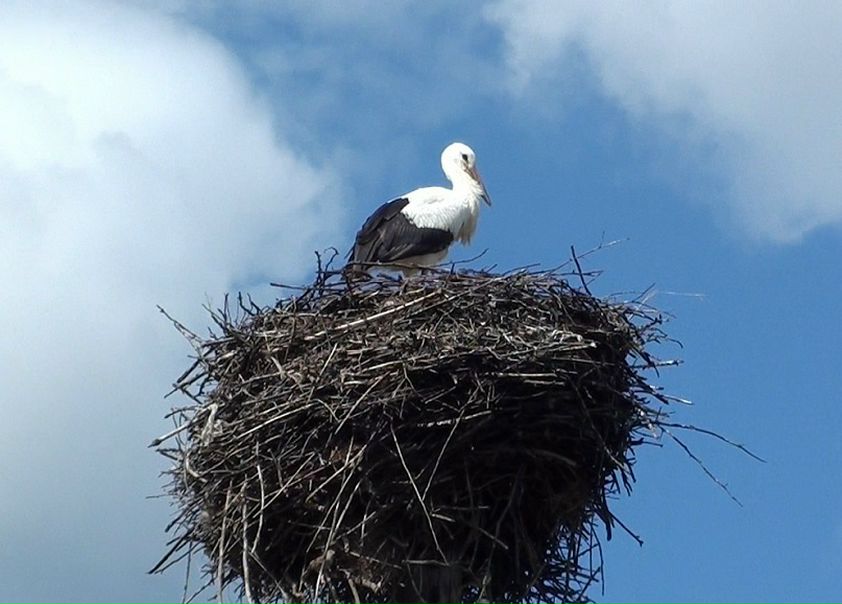 №145, Юрий Редьков, Минск №145, Юрий Редьков, Минск