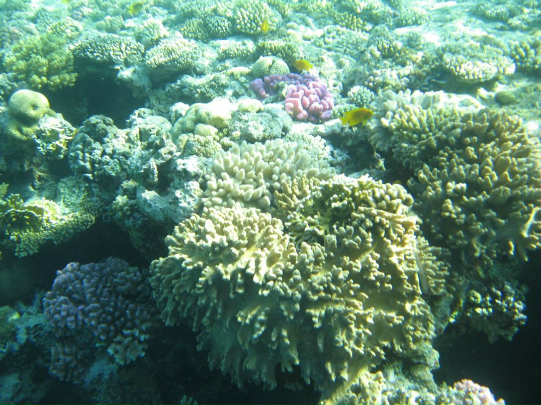 Надежда Кропачева | Киров