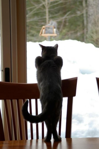 Валентина Лемешко | 