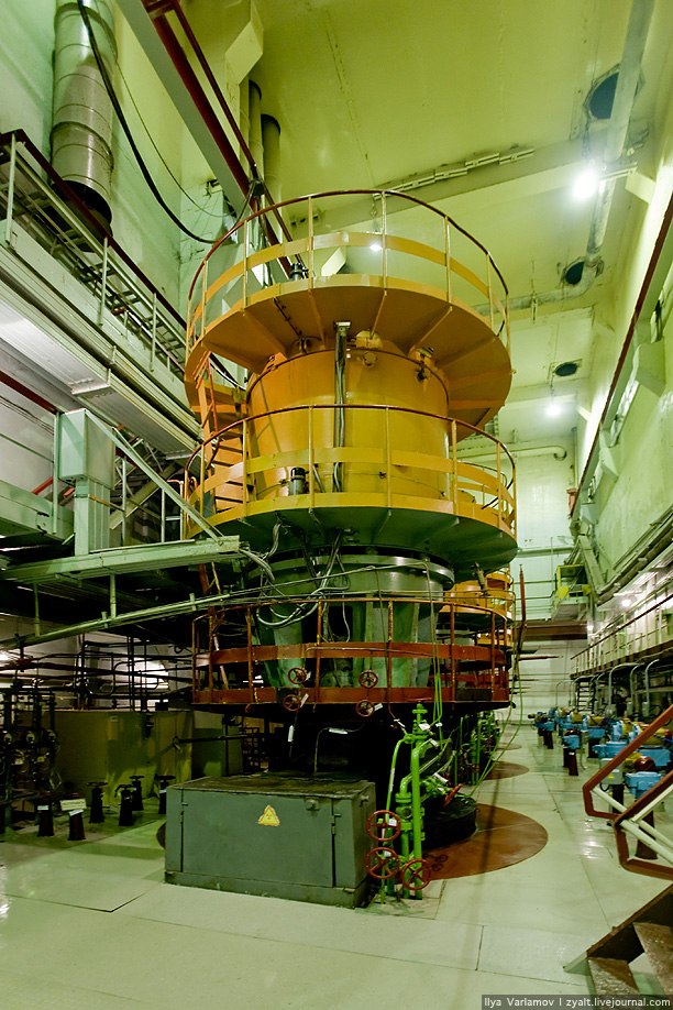 Антон Самошкин | 