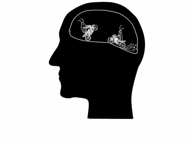 Вита Антоненко | Киев