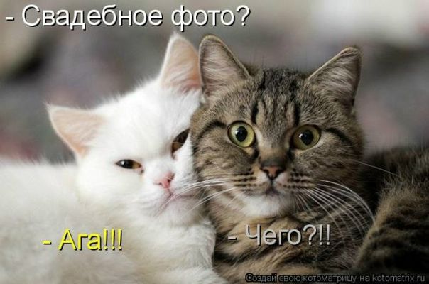 №81, Сергей Ларионов, 33 года, Прокопьевск №81, Сергей Ларионов, 33 года, Прокопьевск