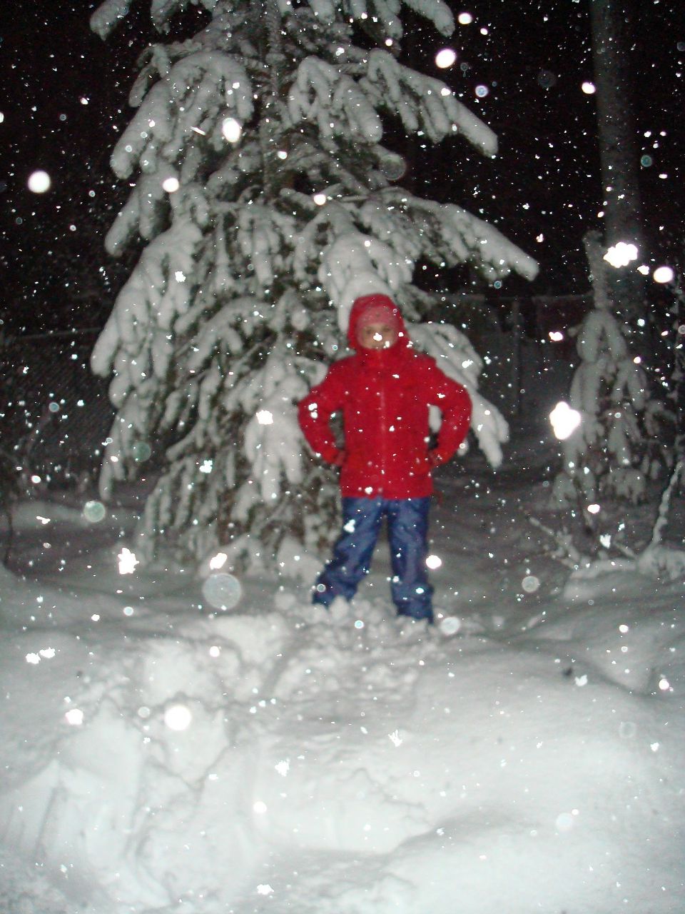 Ангелина Аксёнова | Санкт-Петербург