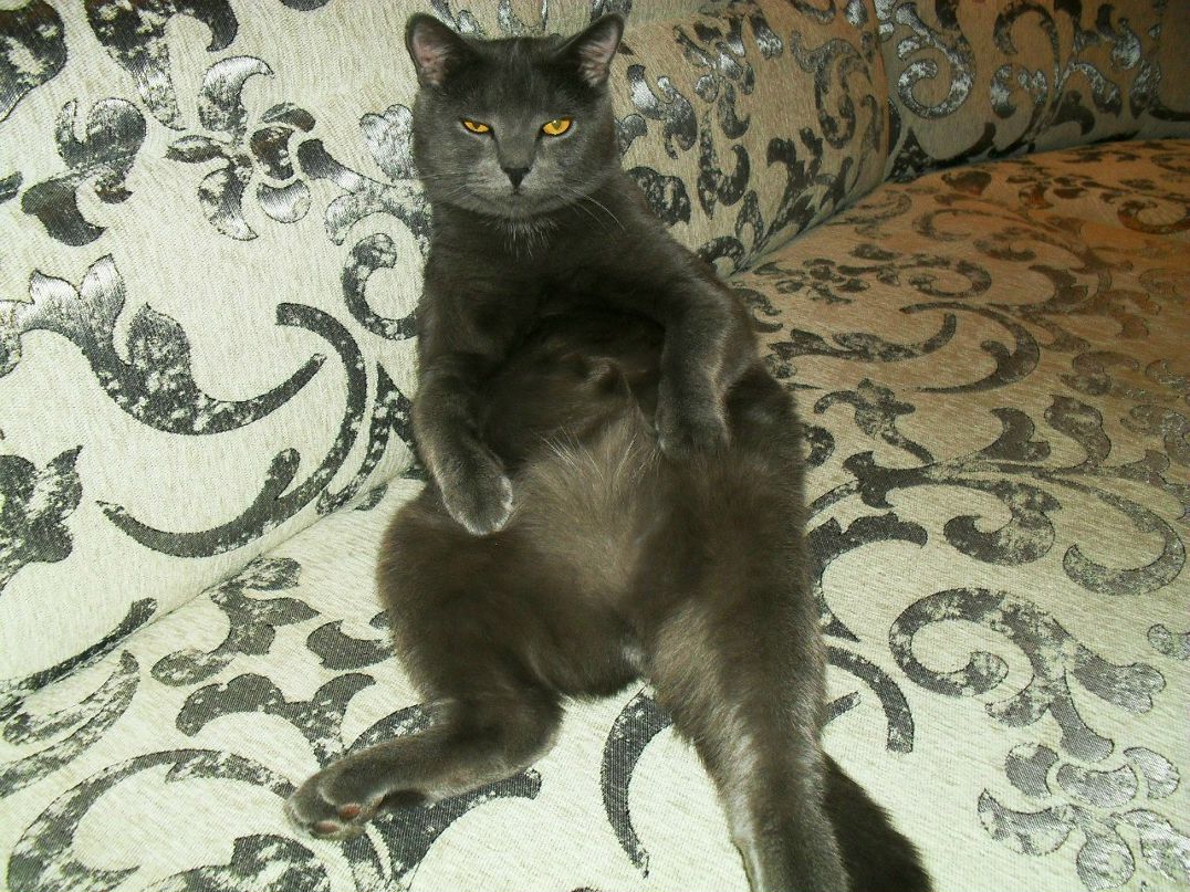 Никита Печёнкин Александрович | Киров