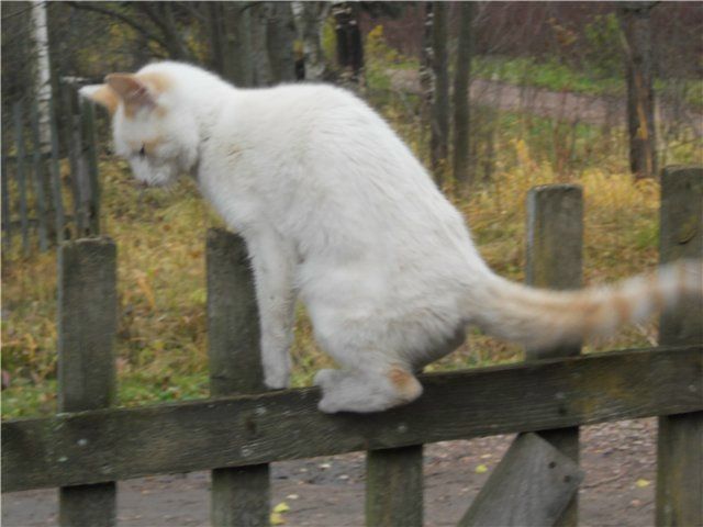 №16, Лена Ыыыыыыы, Санкт-Петербург, Россия №16, Лена Ыыыыыыы, Санкт-Петербург, Россия