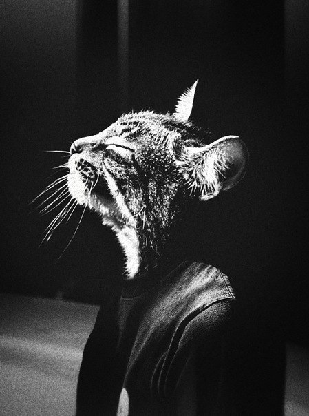 Антон Мамичев | Лянтор