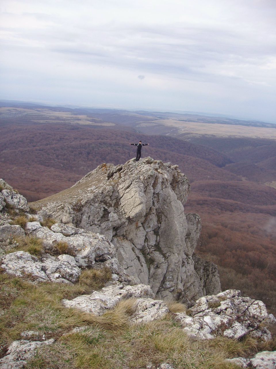 Елена Гордиенко | Харьков