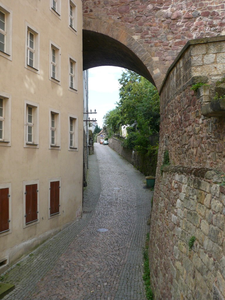 Павел Дешевцев | Москва