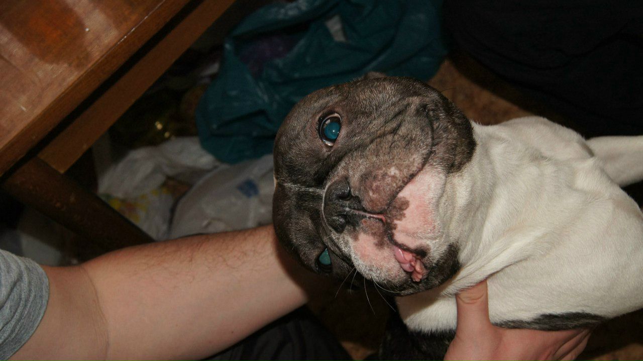 Антон Страшко | Харьков