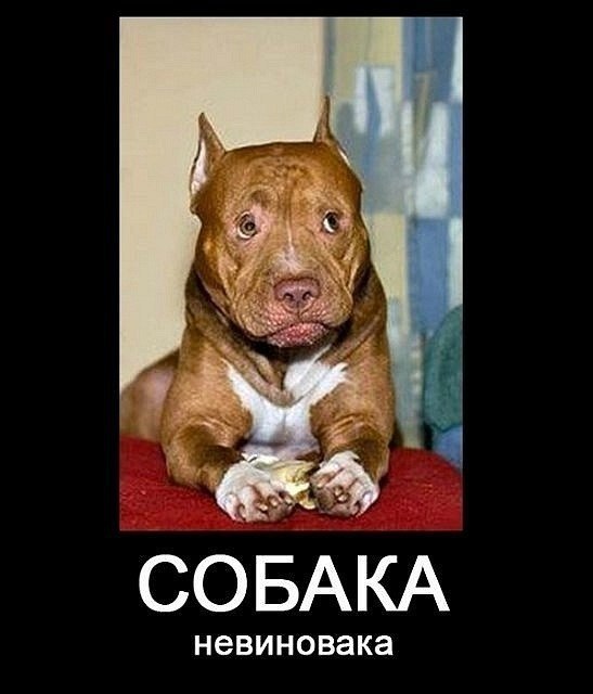 Анвар Кох | Набережные Челны