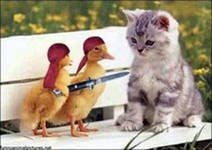 Санёк Спицын | Санкт-Петербург