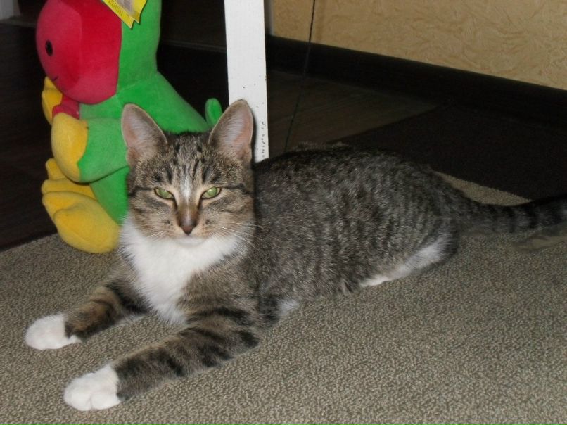 Даша Дергунова | Москва