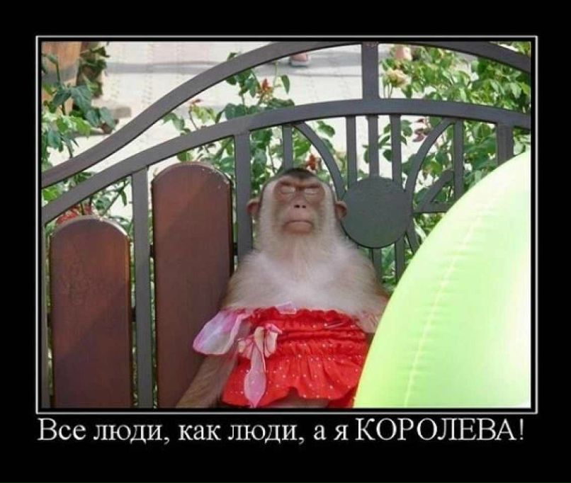 Alinka Like | Санкт-Петербург