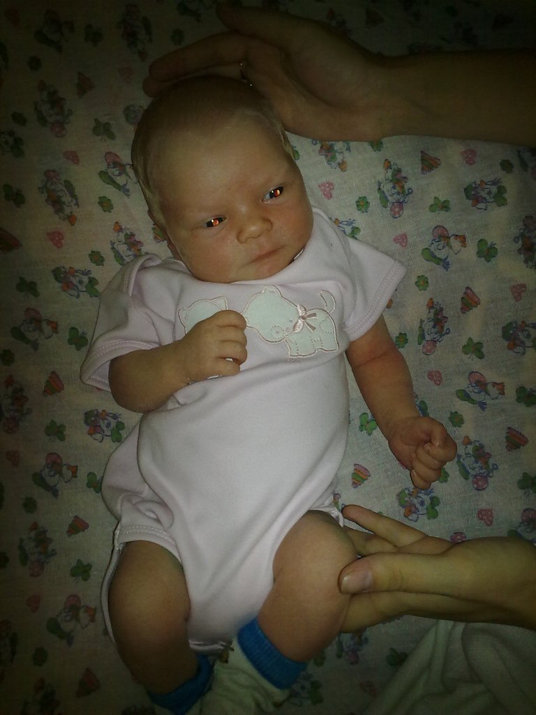 Алексей Скирёв | Архангельск