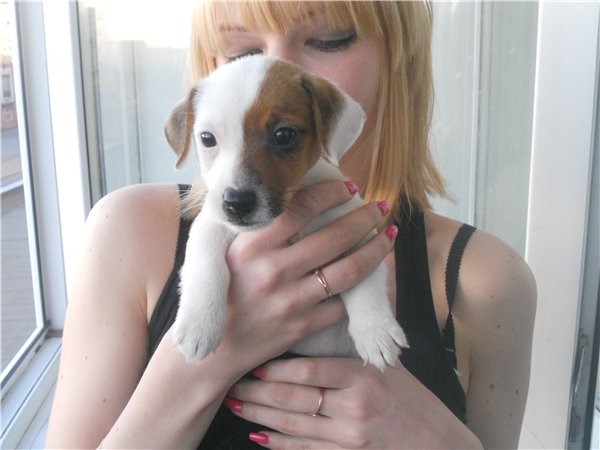 №91, Анастасия Кляйн, Санкт-Петербург, Россия №91, Анастасия Кляйн, Санкт-Петербург, Россия