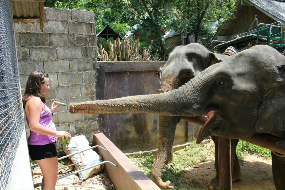 Анна Шугаева | Санкт-Петербург