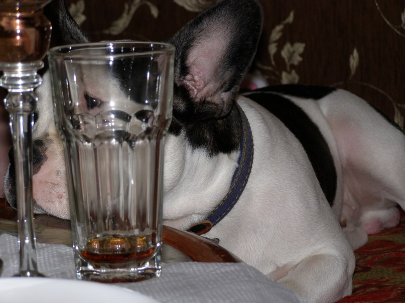 Мария Виланова | Киев