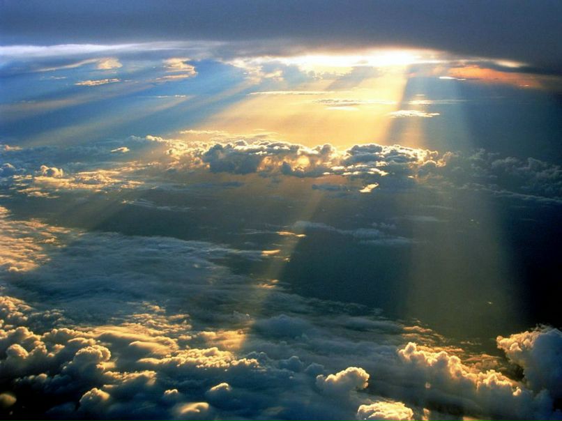 Сергей Шевченко | Днепр (Днепропетровск)