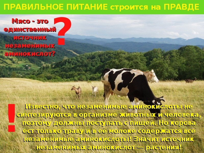 Марат Гиниятуллин | Уфа