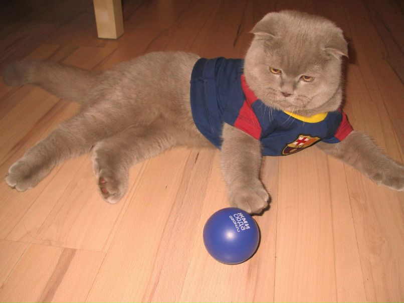 Marta Brizhan | Москва