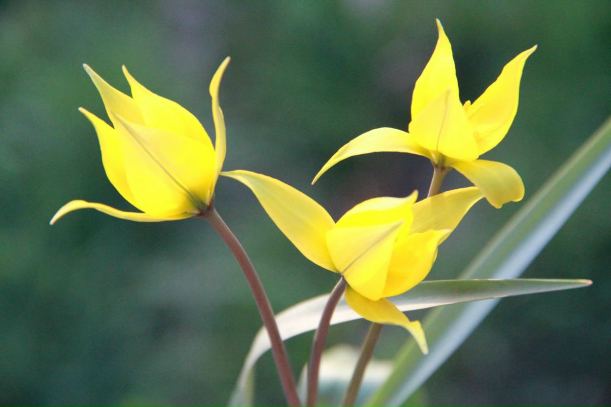 Катерина Анохина | Волжский