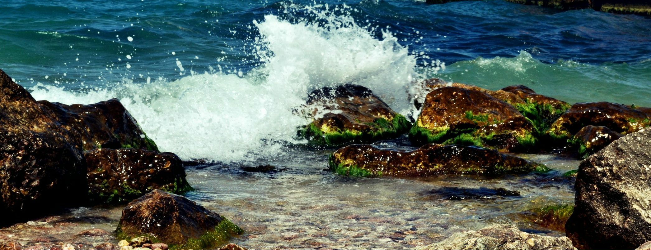 Татьяна Панченко Андреевна | Киев