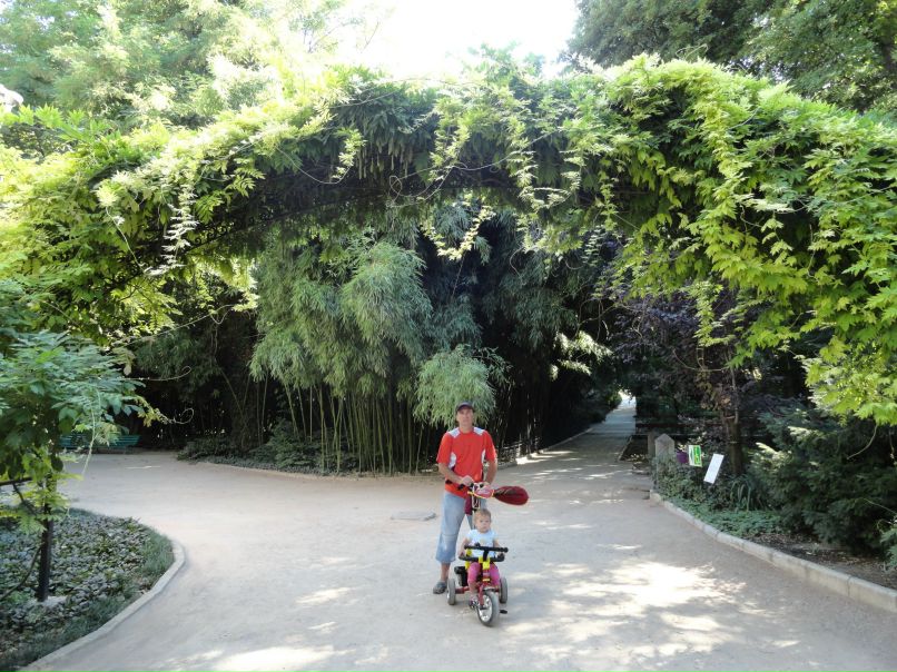 Андрей Мишин | Днепр (Днепропетровск)