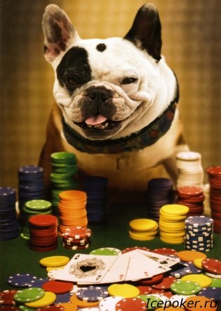 Димон Николаев | Волхов