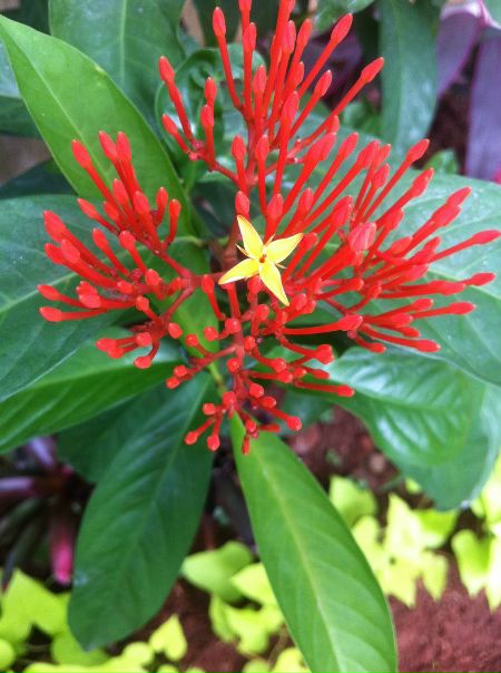 №82, Tatiana Petrova-Greenwood, Москва №82, Tatiana Petrova-Greenwood, Москва