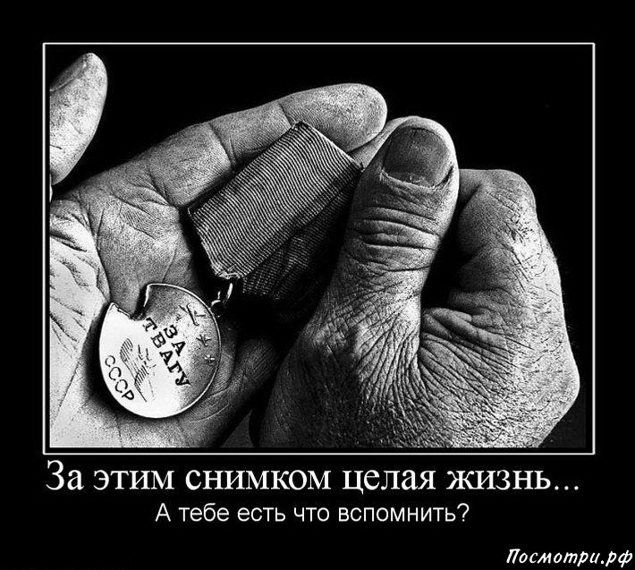 Олександр Олексієнко | Киев