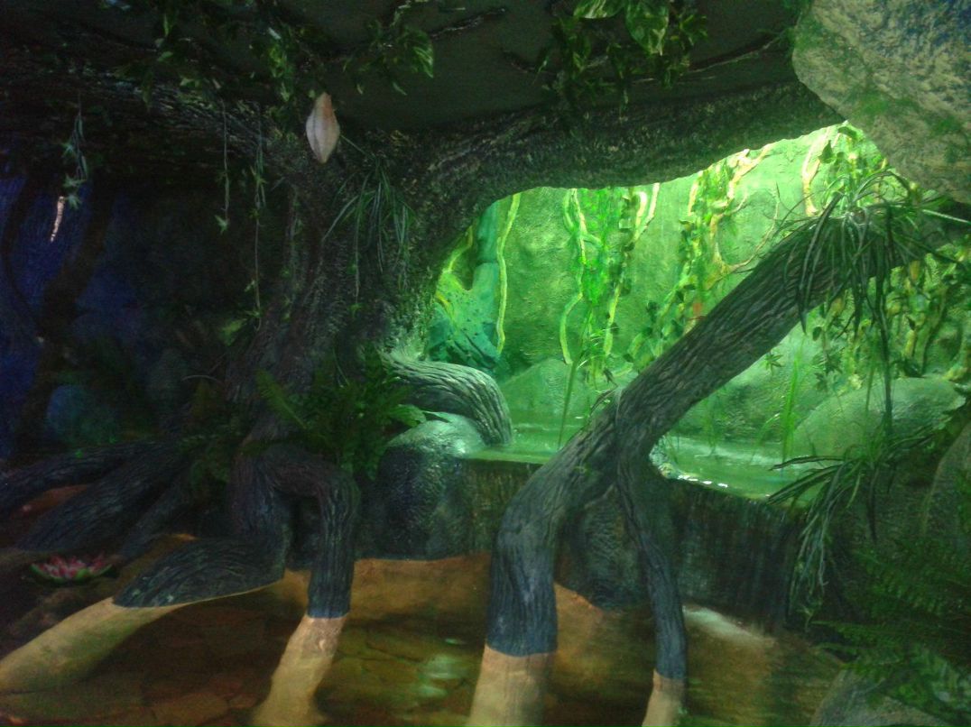 Zurab Richy | Чита