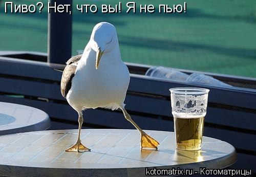 Александр Кольненков | Кохтла-Ярве